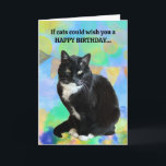 Funny Cat Birthday Card from the cat<br><div class="desc">Funny birthday card from the cat! This card is customizable with your personalized message. Make it from you instead!</div>