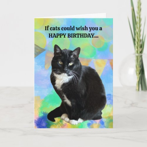 Funny Cat Birthday Card from the cat