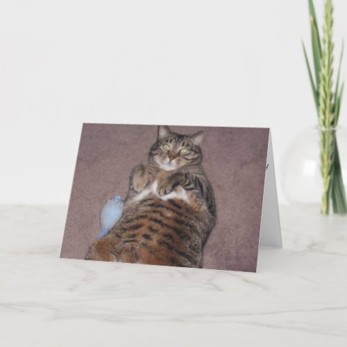 Funny Cat Birthday Card Large Print