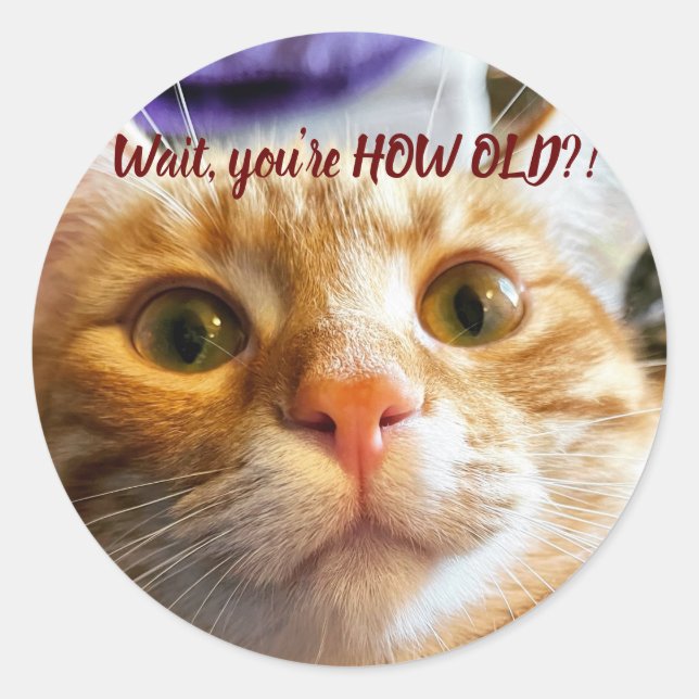 Funny Cat Birthday  Classic Round Sticker (Front)