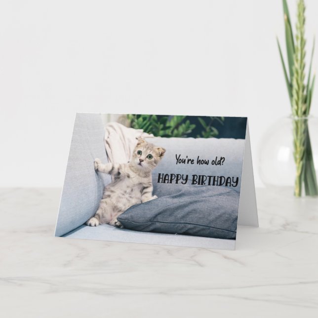 Funny Cat Birthday Greeting Card  (Front)
