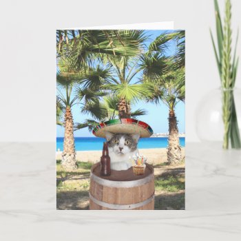 Funny Cat Birthday Message In Spanish Card by myrtieshuman at Zazzle