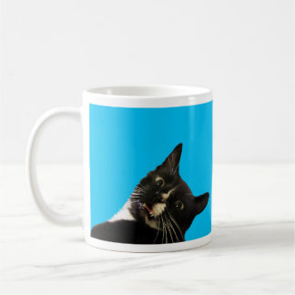 Funny Cat Blank Add Your Motto Photo Design Coffee Mug