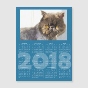 Funny Cat Calendars Zazzle