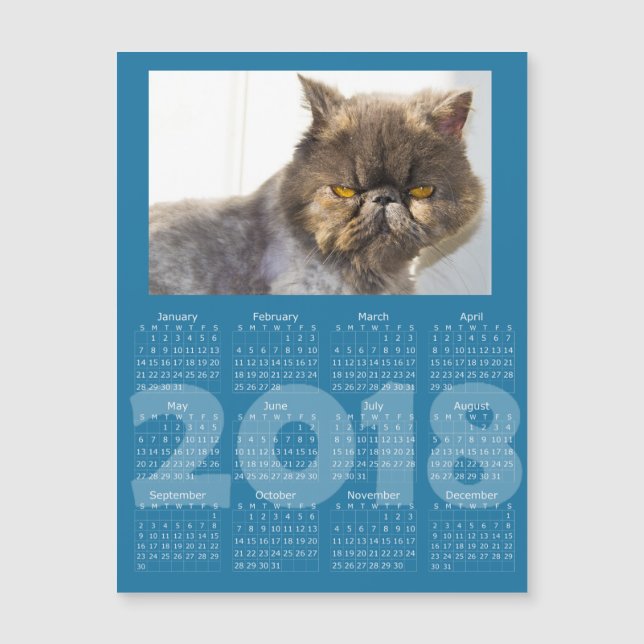 Funny Cat Blue 2018 Calendar Magnetic Card (Front)