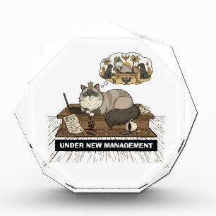 Funny Cat Boss Under New Management WFH Custom Nam Acrylic Award