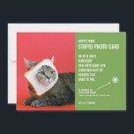 Funny Cat Bread Mask Christmas Stupid Photo Card<br><div class="desc">Send laughter this holiday season with these hilarious Christmas cards! We all know we're "supposed" to send out photo cards at Christmas time - it's the culturally accepted practice, after all. Well, these cards say, "Here's your stupid photo card, " and they include a very awkward photo of a cat...</div>