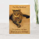 Funny Cat Brother Birthday Card<br><div class="desc">Birthday card for a brother featuring Rupie putting his paw down for some special fun. Inside photo shows he means business. Personalize with your own message. Thanks very much for looking. Photos ©Christine Greenspan</div>