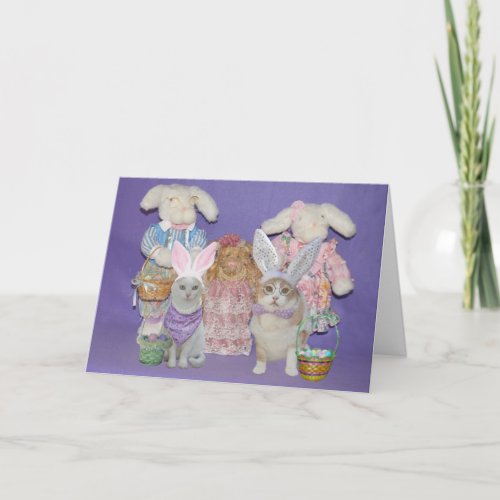 Funny Cat Bunnies Easter Card