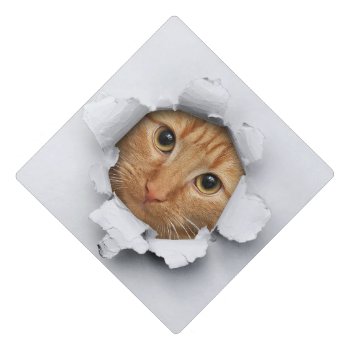 Funny Cat Bursting Out Graduation Cap Topper by Crosier at Zazzle