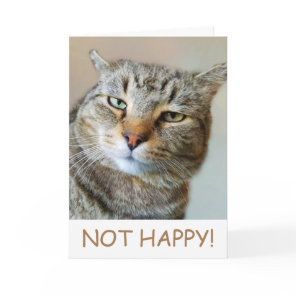 Funny Cat Cancer Support Card