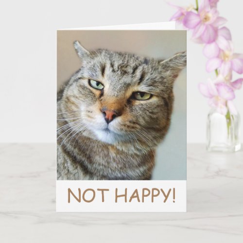 Funny Cat Cancer Support Card