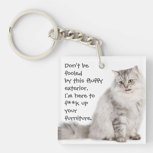 Funny Cat Caption Mess up Furniture Keychain (Front)