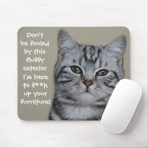 Funny Cat Caption Mess up Furniture Mouse Pad | Zazzle