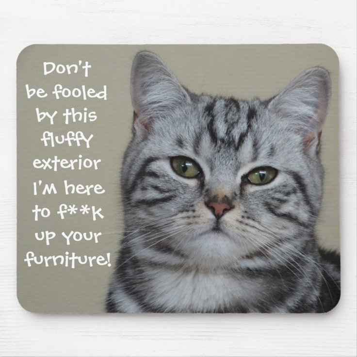 Funny Cat Caption Mess up Furniture Mouse Pad | Zazzle