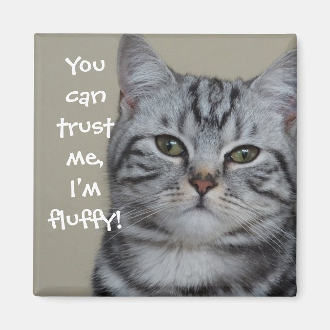 Funny Cat Caption Trust Me I'm Fluffy Magnet (Front)