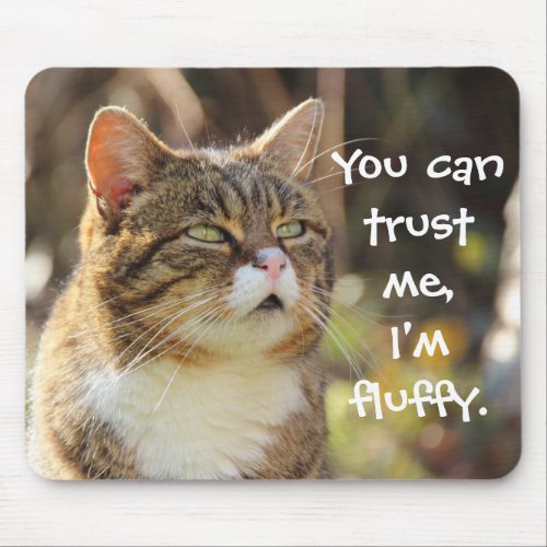 Funny Cat Caption Trust Me Im Fluffy Mouse Pad