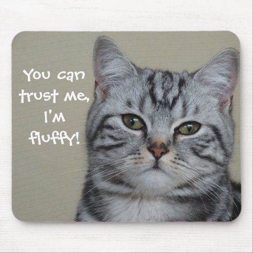 Funny Cat Caption Trust Me Im Fluffy Mouse Pad