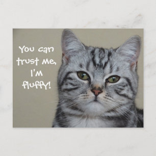 Funny Cat Caption Trust Me I'm Fluffy Postcard