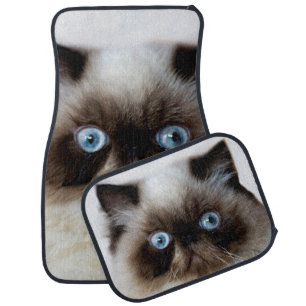 Funny Cat Car Mat