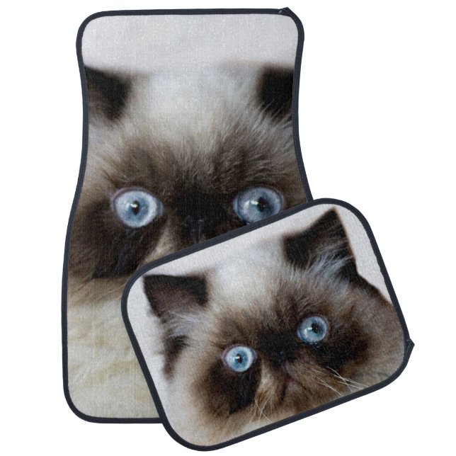 Funny Cat Car Mat (Set)