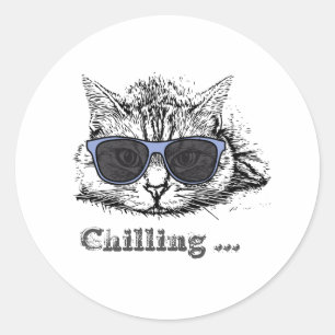 Funny Cat Chilling With Cute Sunglasses Classic Round Sticker