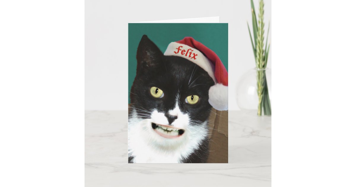 Funny Cat Christmas Card | Zazzle.com