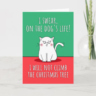Funny Cat Christmas Card