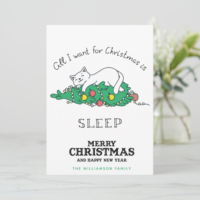 Funny Cat Christmas Card (Standing Front)
