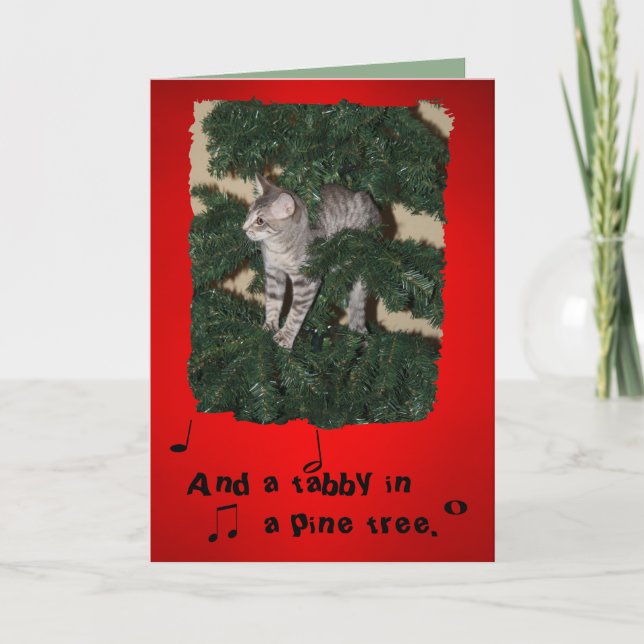 Funny Cat Christmas greeting card (Front)