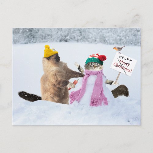 Funny Cat Christmas Greeting Card