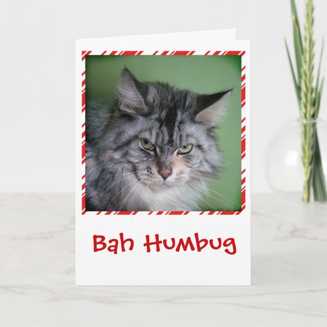 Funny Cat Christmas greeting card (Front)