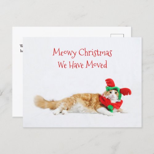 Funny Cat Christmas Holiday Moving New Address Announcement Postcard