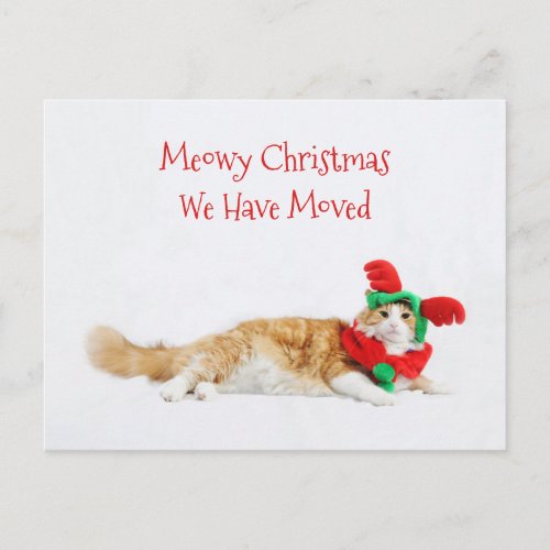 Funny Cat Christmas Holiday Moving New Address Postcard