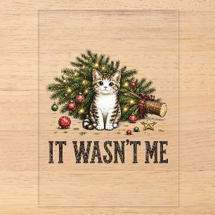 Funny Cat Christmas It Wasn't Me Acrylic Invitations