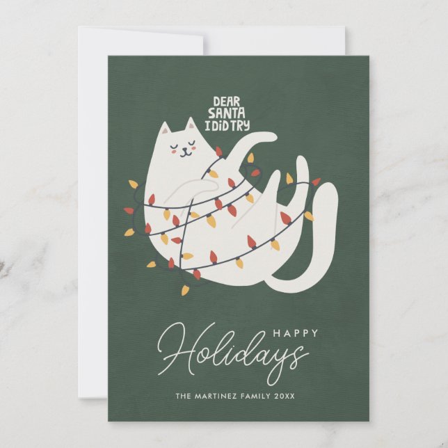 Funny Cat Christmas Lights Merry Happy Holidays Holiday Card (Front)