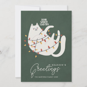 Funny Cat Christmas Lights Season's Greetings Holiday Card