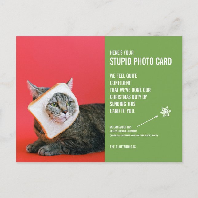 Funny Cat Christmas Stupid Photo Card Postcard (Front)