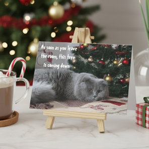 Funny Cat Christmas Tree Angry Greeting Holiday Card