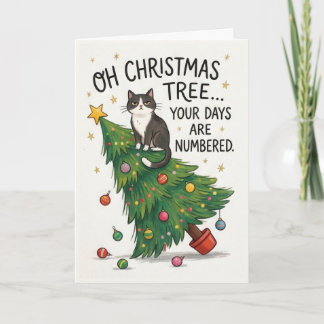 Funny Cat Christmas Tree – Days Are Numbered Card