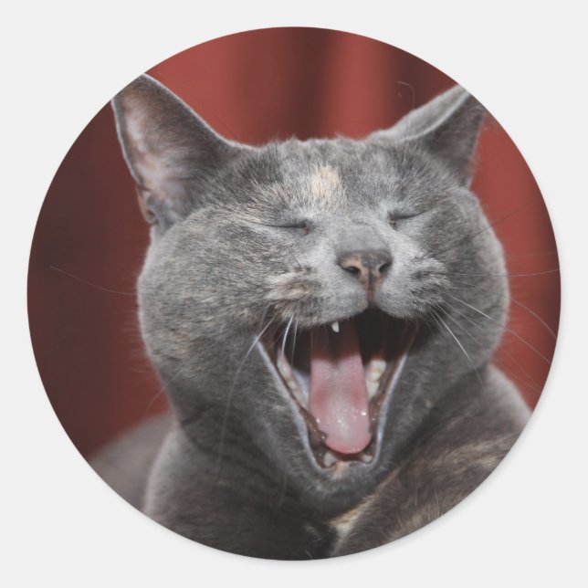 Funny cat classic round sticker (Front)