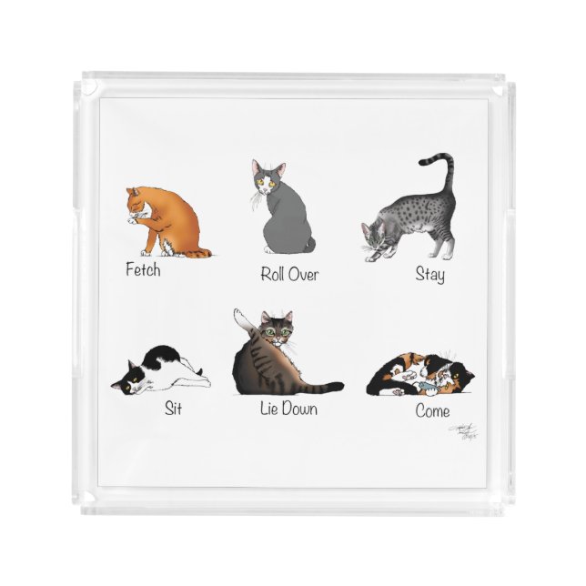 Funny Cat Commands Illustrated Training Chart Acrylic Tray (Front)
