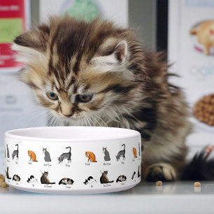 Funny Cat Commands Illustrated Training Chart Bowl