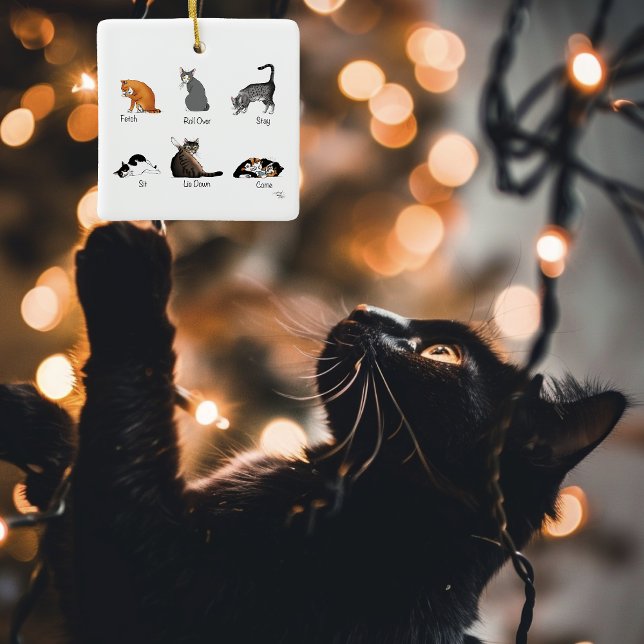 Funny Cat Commands Illustrated Training Chart Ceramic Ornament (Creator Uploaded)