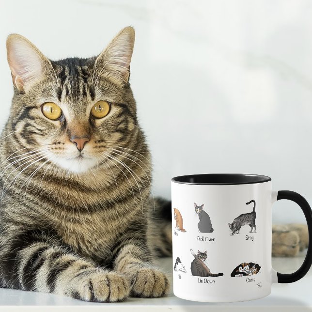 Funny Cat Commands Illustrated Training Chart Mug (Creator Uploaded)
