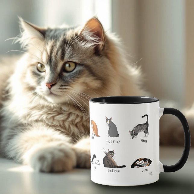 Funny Cat Commands Illustrated Training Chart Mug (Creator Uploaded)