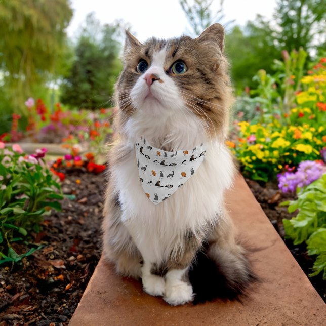 Funny Cat Commands Illustrated Training Chart Pet Bandana Collar (Cat)