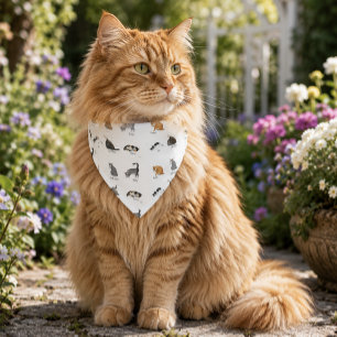 Funny Cat Commands Illustrated Training Chart Pet Bandana Collar