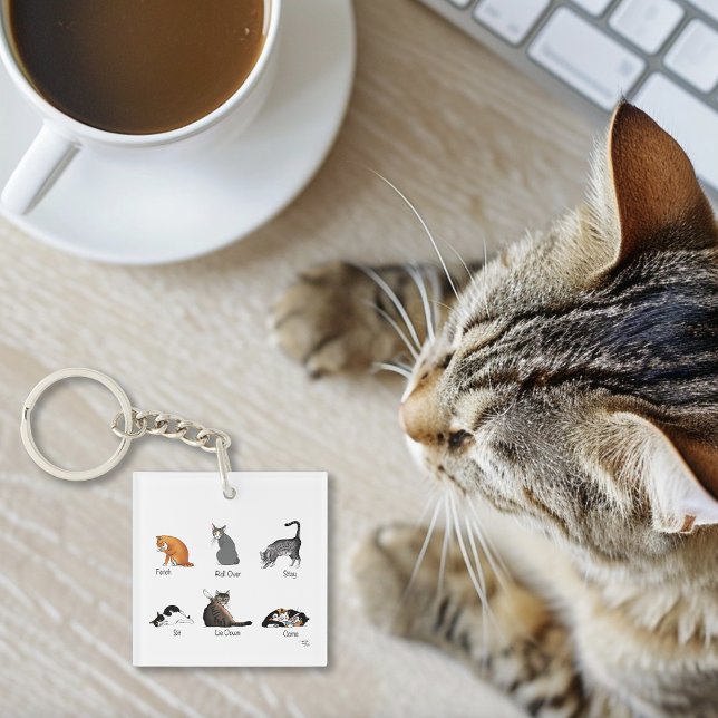 Funny Cat Commands Illustrated Training Chart QR Keychain (Creator Uploaded)