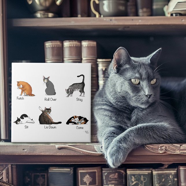 Funny Cat Commands Illustrated Training Chart Tile (Creator Uploaded)